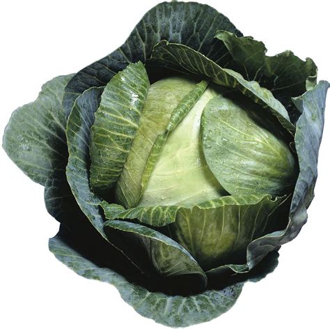cannage meaning